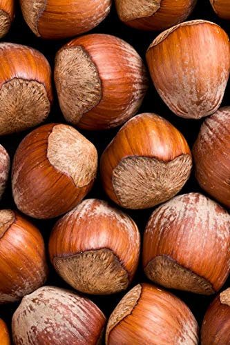 Pianta di Nocciolo Albero di Nocciolo varietà Comune Età 2 anni Pianta da frutto di Nocciolo in vaso pianta vera di Nocciole venduta da eGarden.store