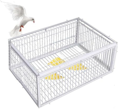 MBBTAG Piege A Fouine, Piège Pigeon, Nasse A Rat, Cage Piège À Animaux Piège À Pigeons Piege, Piège À Pigeons Avec Conception Anti-évasion, Pigeonnier Avec Entrée À Sens Unique, Facile À Assembler(Bla