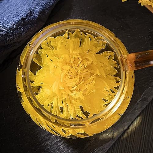 Chrysanthème «Golden Queen»,100% végétal,sans théine, sans additif ni conservateur