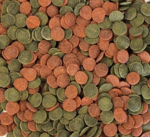 Wohnkult Hausmarke Mini Wafers Spirulina Color und Mix für alle Corydoras u. Bodenbewohner Krebse Garnelen UVM. TOP Futter Fischfutter (500 ml Mix)