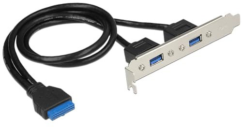 Slotblech Delock 2X USB3.0