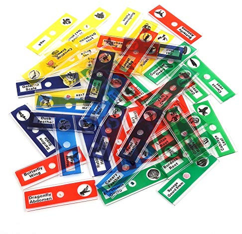 Objektträger Mikroskop, Mikroskop Objektträger 48PCS Kids Plastic Prepared Slides für das Mikroskop von Insekten Pflanzen Blumen Probenproben für die biologische Grundausbildung