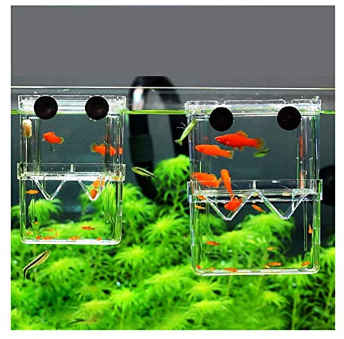 hanxiaoyishop Doppelstöckige durchsichtige Fischzucht-Isolationsbox für Aquarien, Brutkästen, Brutkästen, Fischhäuser, Fischhäuser (Farbe: transparent, Größe: klein)