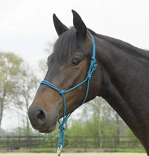 Busse Knotenhalfter Standard, Bordeaux, WB/KB