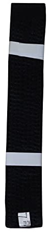 Lisaro kampfsportgürtel Karate Judo Taekwondo Ju Jutsu BJJ Gürtel Gr. 160-300 cm (schwarz, 180)