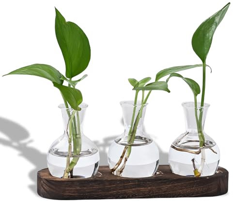 HOMURY Hydroponik Blumenvase Mit Holzständer: Glasvase Blumenvase Vintage Kleine Vasen für Tischdeko, Vermehrungsstation Für Pflanzen Zwiebel Vase für Hydrokultur Zuhause Tischdekoration