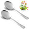 Servierlöffel 25 cm, 2-teilig, Salatbesteckset aus Edelstahl, Vorlegelöffel Kochlöffel mit Langen Griffen, Salatlöffel Großer Löffel EsslöFfel Servierbesteck für Familie Hotels Buffet Restaurant
