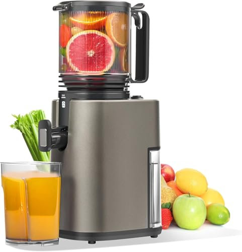 Extracteur de Jus de Fruits et Légumes, Ouverture de 14cm Capacité de 2L Juicer Machine a jus de fruit, Slow Jucier Facile à installer (Matte Gris)