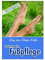 net-xpress Plakat für Werbung für Profi-Fußpflege DIN A1, Werbeplakat Poster Nagelstudio