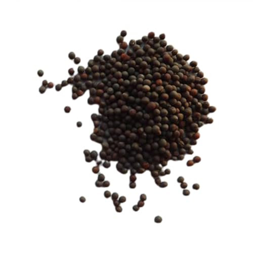 kiskick 100 Stück/Beutel Mini-Pak Choi-Samen, natürliche, produktive, frische, essbare Gemüsesämlinge für den Bauernhof für schöne Garten- und Landschaftsgestaltung Pak-Choi-Samen