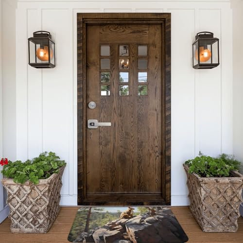 PHAYAH Zerbino con scoiattolo su roccia, 40,6 x 61 cm, per interni, per porta anteriore e posteriore, per patio, ingresso, garage, patio, casa, portico, decorazione