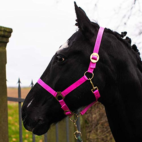 Halter for Horses Warmblood, Thoroughbred, Cold Blood - Stable Halter, Pasture Halter, 2 Adjustable Positions on Chin Strap and Headpiece, Safe and Tear-Resistant (Pink, Shetland Pony (Shetty))