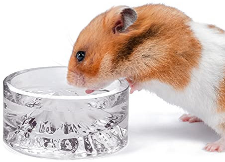 Niteangel Hamster-Futter- und Wassernäpfe - Mount Fuji Serie Glas-Trinkschalen für syrische Zwerghamster, Rennmäuse, Mäuse, Ratten oder andere ähnlich große kleine Haustiere