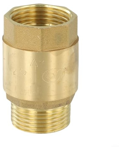 Clapet anti-retour en laiton pour la prévention du refoulement avec filetage femelle et mâle, 1,27 cm, 1,5 MPA pression maximale, compatible avec carburant, air, huile (2,5 cm)