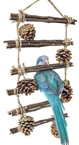 Scala da arrampicata per uccelli | Posatoio con scale come gioco e decorazione - Scala per scale per uccelli, per gare e pappagallini per pappagallini e pappagallini per interni ed esterni in casa o