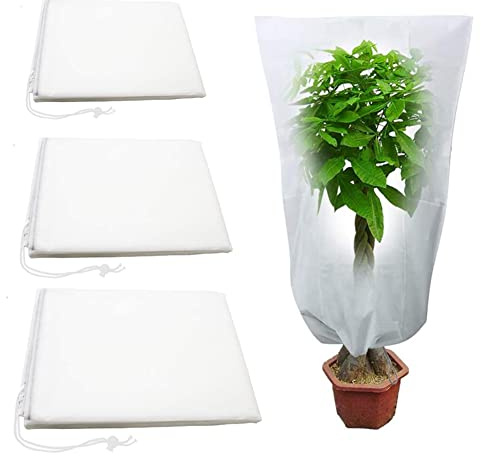 4 Piezas Funda para Plantas Cubiertas de cordón de plantas de invierno 120 * 80cm Protección de Invierno para Plantas Cubierta para Plantas Protección por Jardín Planta Anticongelante Polvo Insecto