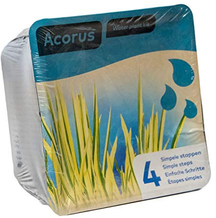 Complete Waterplant Pond Plant Kit - Acorus