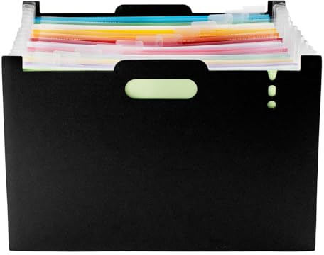 Organizer per documenti a fisarmonica, espandibile, 13 tasche, organizer per ricevute e banconote, con linguette colorate, cartelle da scrivania, lettere A4, documenti per casa e ufficio