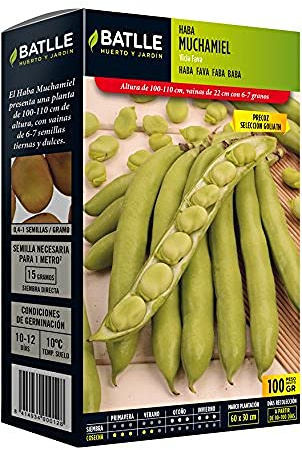 Batlle Graines de légumes Ours en Peluche Muchamiel Ausw. Goliath (100 g).