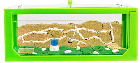 AntHouse - Natural Sand Ant Farm | 3D Big Starter Kit 30x15x10 cm | Ant Hill | Colour Green