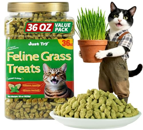 Just Try 36 OZ Cat Treats for Indoor Cats Hairball Control Natural Salmon Healthy Cat Grass Treats Kitten Snacks Training Biscuits Catnip for Cats Dental Care