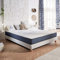 Naturalex Matratze 180x200 cm Perfect Dream Taschenfederkernmatratze Härtegrad H2/H3 - Öko-Tex Zertifiziert - Latex Blue 7 Zonen Matratze Höhe 24 cm - Federn - Made in EU