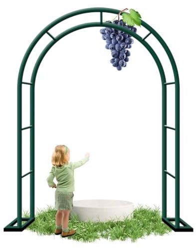 Arco De Jardín De Metal Enrejado Arco De Rosas para Plantas De Escalada Resistente Arco De Cenador De Jardín Arco De Decoración Boda Exterior Pérgolas(Verde,W240 x H220cm)