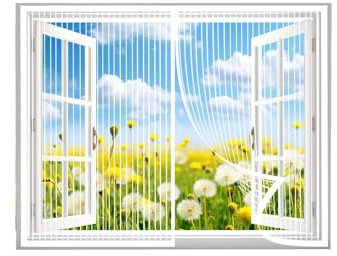 Insect Protection Roller Blind, Insect Protection Window Curtain, Magnetic, Automatic Closing for Balcony Door, Living Room, white/50 x 185 cm