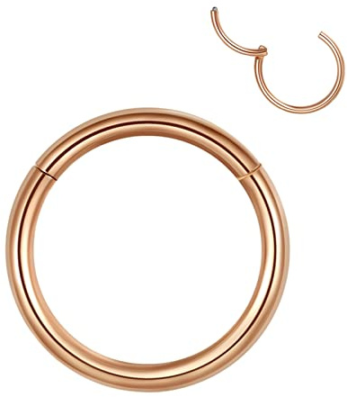 Popuhoops 16g 10mm Hinged Hoop Nose Ring Rose Gold Septum Ring 316L Surgical Steel 16 Gauge Cartilage Earring Nose Piercing Body Jewelry Helix Daith Tragus Earrings Septum Jewelry Clicker Lip Rings