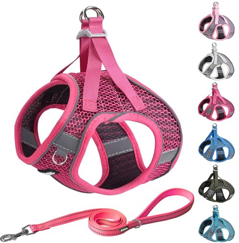 AIITLE Puppy Harness for Small Dogs - Lightweight Air Mesh Puppy Harness - Step in Dog Harness with A Leash - No Pull & No Choke Padded Vest- Reflective Dog Harness for Small Dogs Cats Hot Pink XXS