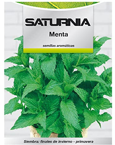 Semillas Aromaticas Menta (0.3 gramos) Horticultura, Horticola, Semillas Huerto.
