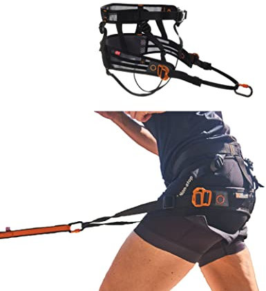 Non-stop dogwear CaniX belt Parent item (S)