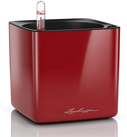 Lechuza 'Cube Glossy 14', Scarlet-rot, ca. 14 x 14 x H 13,5 cm