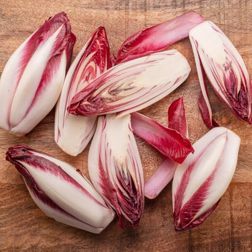 semillas de achicoria resistentes, semillas de hortalizas invierno balcón jardín para hombres, 200pcs