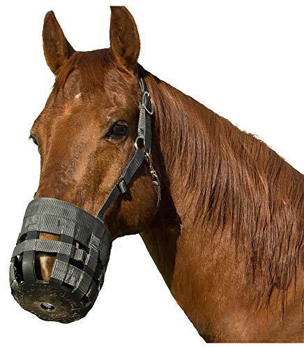 Intrepid International Unisex-Erwachsene BF02L Maulkorb, anthrazit, Large Horse
