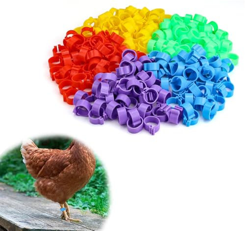 0XBIT Hühnerringe, 250 Stück Geflügelfußring, 16 MM Farbe Hühnerbeinringe, Abnehmbares Taubenringe, Geeignet für Geflügel, Hühner, Enten, Tauben, Vogelbeinringe, Zuchtindustrie