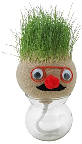 Genérico Muñeco con Cabeza De Hierba - Grass Head Doll | Crecimiento Pelos con Cabeza Hierba Planta En Maceta Verde De Escritorio con Bandeja para Decoración De Hogar Y Jardín