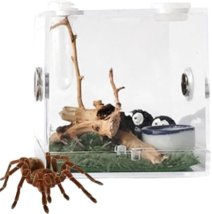 Caja De Alimentación De Insectos, Caja De Cría De Insectos, Hormigas Araña, Pequeña Caja De Paisajismo Transparente con Puerto De Alimentación Humidificador, Caja Ecológica, Caja De Observación