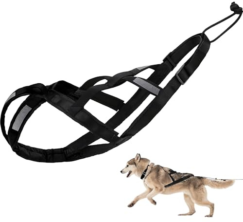 Dog Pulling Harness (M, Black) Reflective X-Back Harness for Sledding Exercise, Canicross Scootering, Bikejoring, Skijoring, Fit for French Bulldog Dogs, Small Husky, Small Shiba Inu (17–33 pounds)