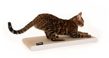 LucyBalu® Scratchpaper Carton à griffer réversible Chat I Blanc