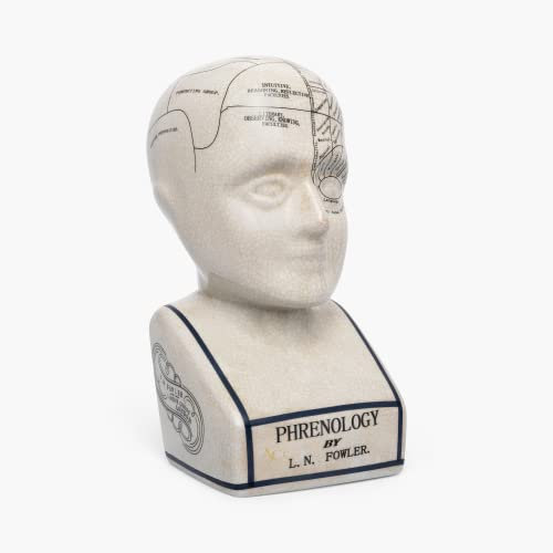 Assorted Collections Phrenology Head – Ceramic Ornament Collectable Retro Bust - Glaze finish – Doctor’s desk – LN Fowler –Fortune Telling Statue - Brain senses 28CMs - White