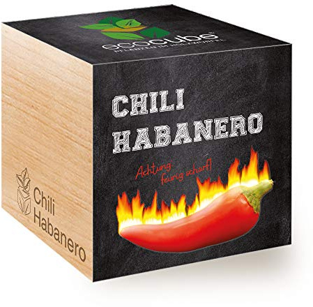 Feel Green 296435 Ecocube Chili Habanero, eldig vass, hållbar presentidé (100% miljövänlig), odla din own/odlingssats, växter i träkub 7,5 cm, tillverkad i Österrike