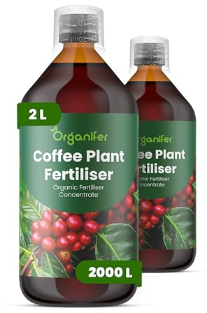 Organiskt flytande gödsel 2x1L för kaffeväxt – frodiga blad och optimal blomning - Organifer