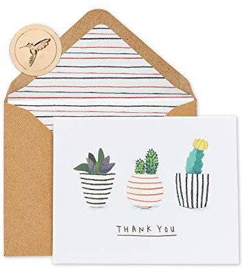 Papyrus Thank You Cards with Envelopes, Succulents (20-Count)