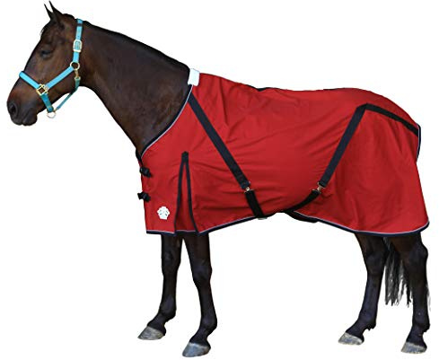 T TEKE Deluxe Horse Canvas Sheet for Snug and Clean in Stable, or as a Blanket Liner. (Size Range 51-87 Including mini Horse)