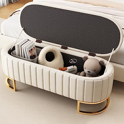 ZKLOEP Baúl de almacenamiento y reposapiés de 120 x 40 cm, reposapiés acolchado con espacio de almacenamiento, banco de sofá, tela de terciopelo beige