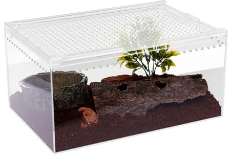 AMYSTY Terrario Reptiles Insectos Caja De Cría For Reptiles De Acrílico, Terrario Y Jaula Terrario Caracoles(30x20x15cm)