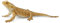 Collecta Collecta Bearded Dragon Lizard Figura
