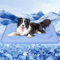 Rywell Dog Cooling Mat Extra Thick,80x110cm PCM Coating Cooling Mat for Dogs Large with Endothermic Color Changing Arc-Chill Cooling Fiber,Double-sided Use, Foldable with Carrying Handle,Blue