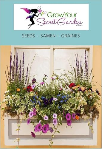 Plantes anti-moustiques 500 Graines (mix) - vivace